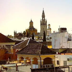 https://apartamento-san-clemente.es-andalucia.com